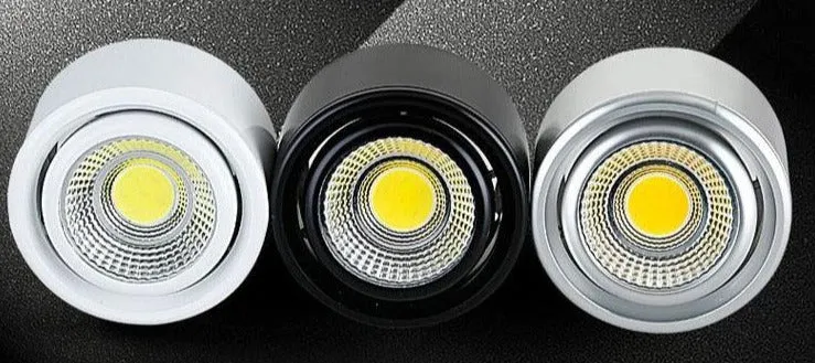 10PCS  Surface Mounted LED Downlight 3W 5W COB Black White Silver Downlight AC110V/220V Lighting Fixtures Free Shipping