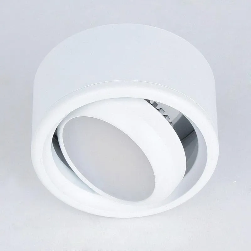 10PCS  Surface Mounted LED Downlight 3W 5W COB Black White Silver Downlight AC110V/220V Lighting Fixtures Free Shipping