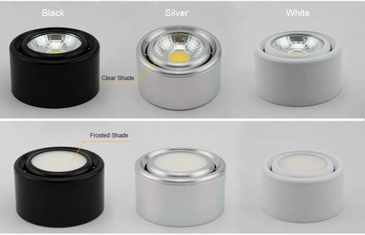 10PCS  Surface Mounted LED Downlight 3W 5W COB Black White Silver Downlight AC110V/220V Lighting Fixtures Free Shipping