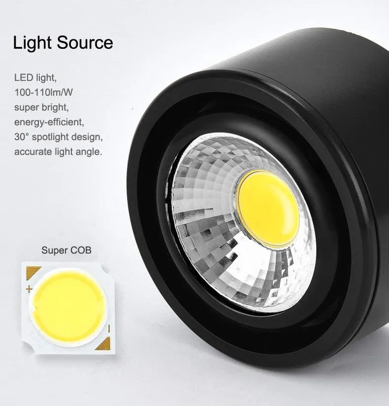 10PCS  Surface Mounted LED Downlight 3W 5W COB Black White Silver Downlight AC110V/220V Lighting Fixtures Free Shipping