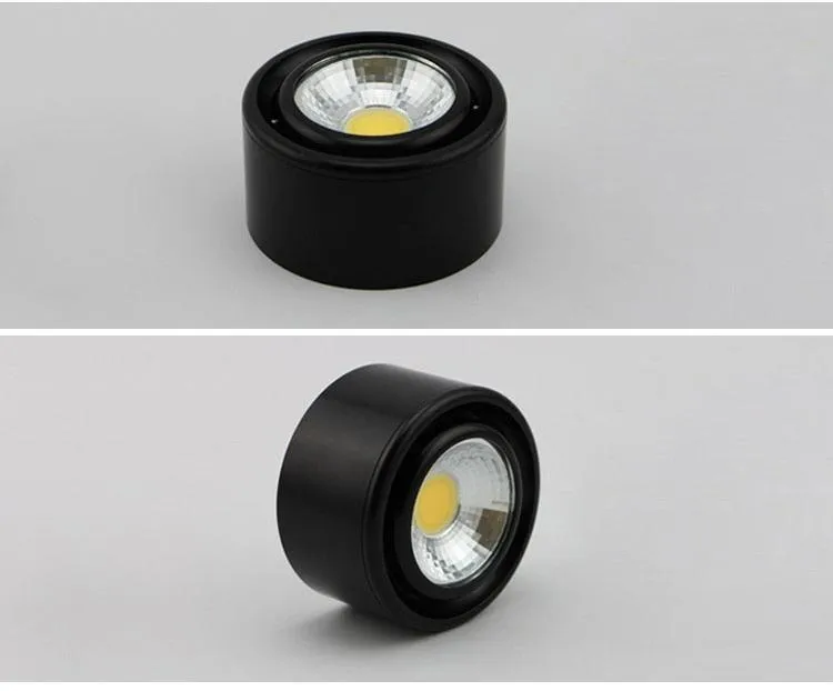 10PCS  Surface Mounted LED Downlight 3W 5W COB Black White Silver Downlight AC110V/220V Lighting Fixtures Free Shipping